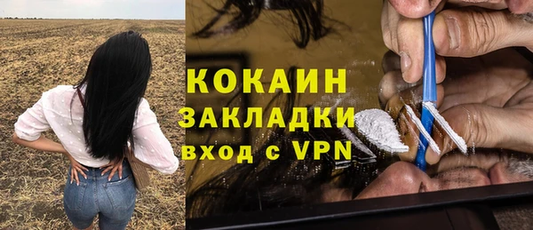 PSILOCYBIN Осинники