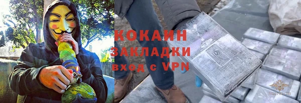 PSILOCYBIN Осинники