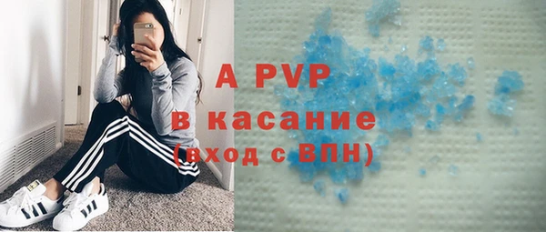 PSILOCYBIN Осинники