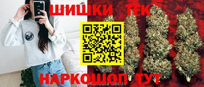 spice Гусев