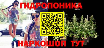 ПСИЛОЦИБИНОВЫЕ ГРИБЫ Балахна