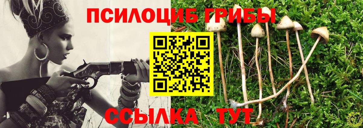 Краснокаменск  Галлюциногенные грибы Cubensis  Вход с VPN 
