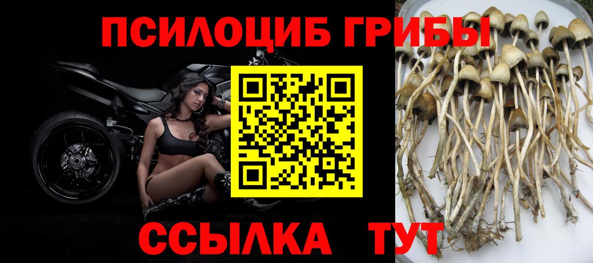 МЕФ   ЭКСТАЗИ  Краснокаменск  ГАШИШ  Вход с VPN  APVP СК кристаллы  Cocaine  МЕТ 