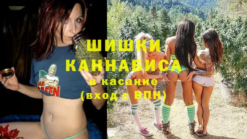 Каннабис OG Kush  Краснокаменск 